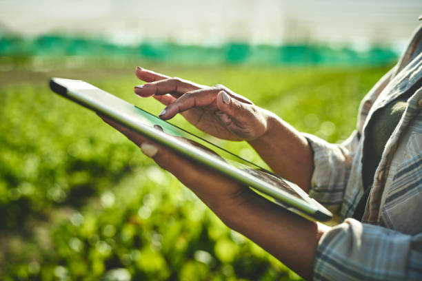 RNtech-IT-for-farm